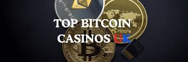 Exploring the Rise of New Bitcoin Casinos -163109919 Exploring the Rise of New Bitcoin Casinos -163109919